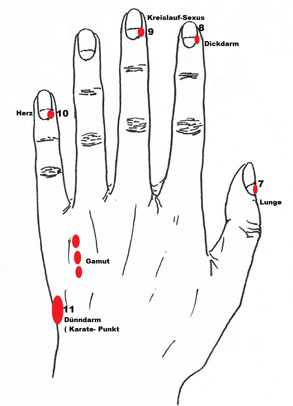 Hand